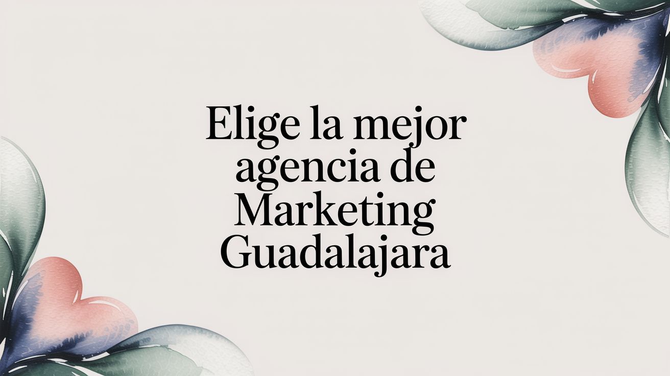 Elige la mejor agencia de marketing Guadalajara